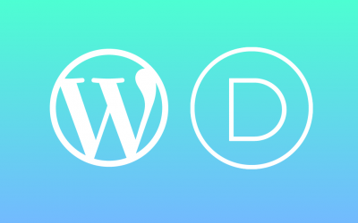 WordPress and the Divi Theme