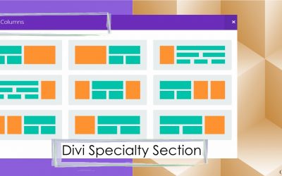 Divi Specialty Section Layout