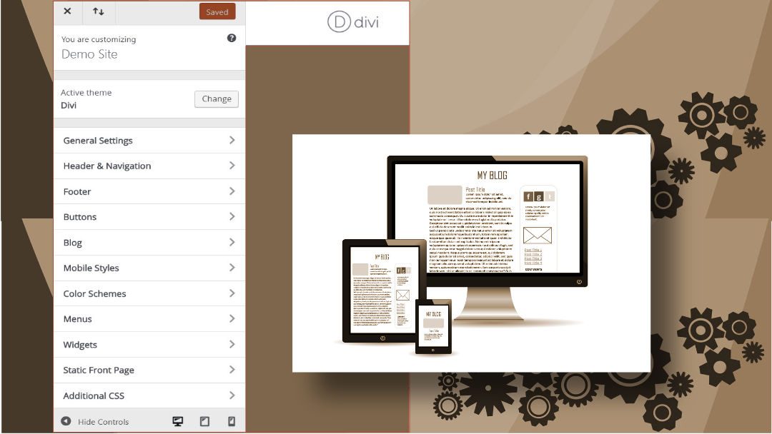 Divi Theme Customizer