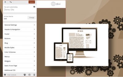 Divi Theme Customizer