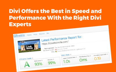 Divi Offers the Best in Speed and Performance With the Right Divi Experts, Hosting Environment, and Maintenance Plan