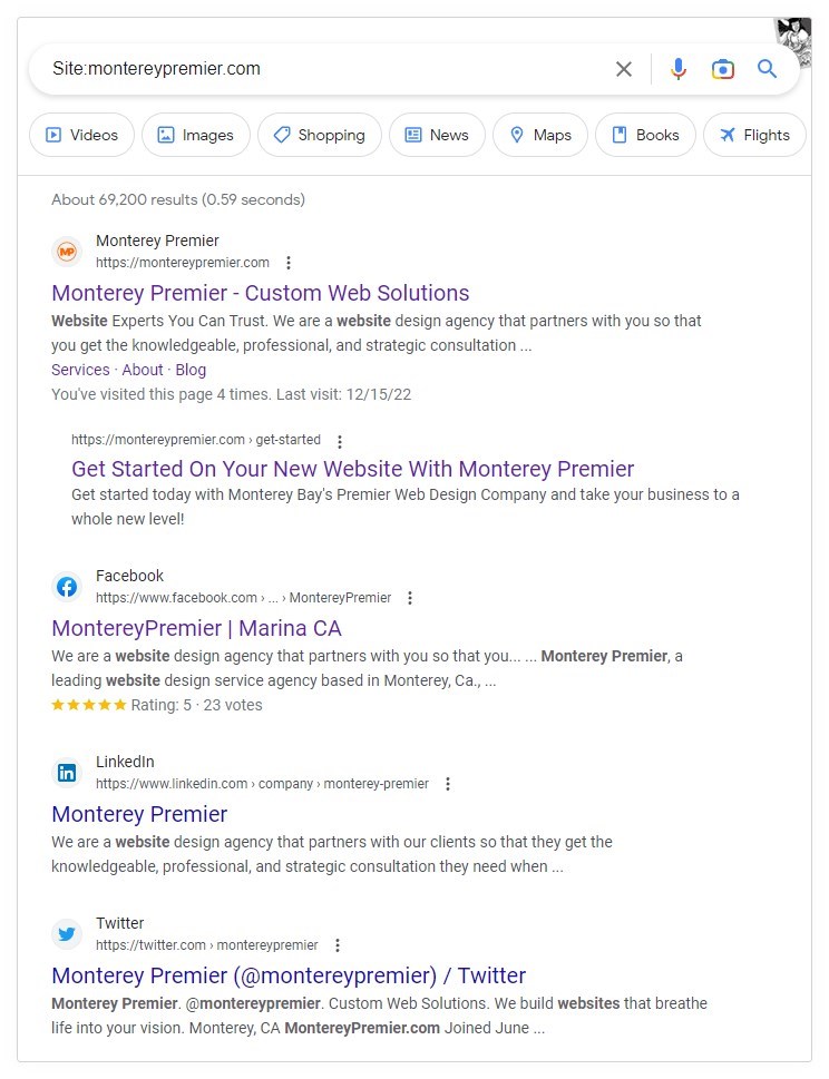 Show Up in Google Search Results 01